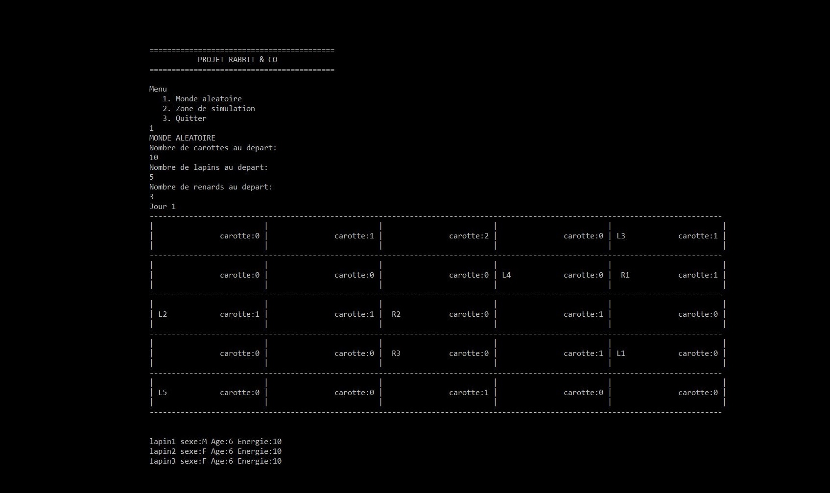 Terminal screenshot